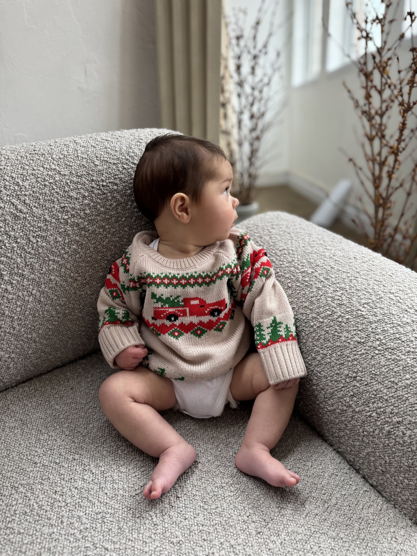 Mistletoe and Pines Jumper